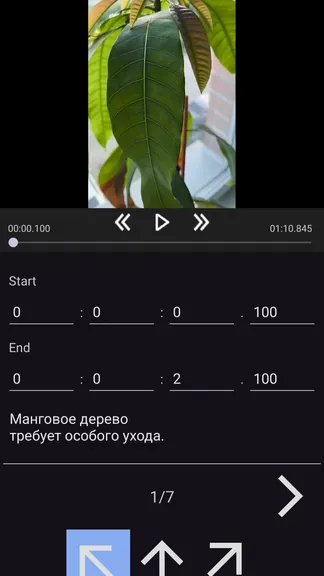 Скриншот 3/3