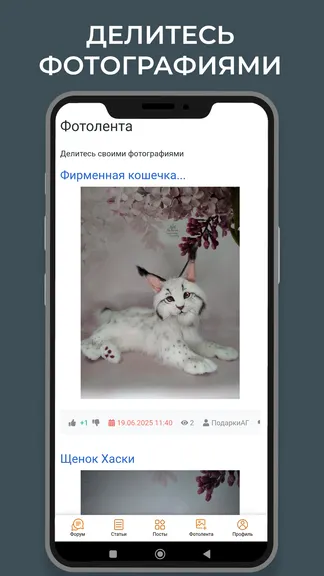 Скриншот 3/10