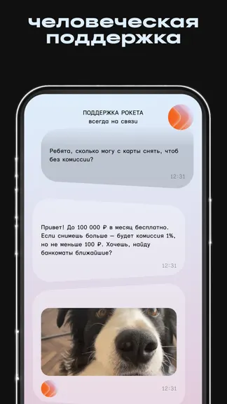 Скриншот 3/6