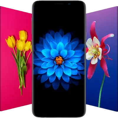 Flower Wallpapers