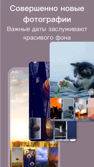 Скриншот 2/6