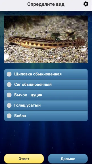 Скриншот 6/8