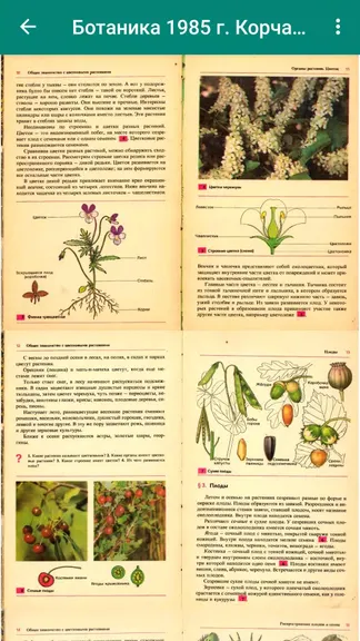 Скриншот 5/7