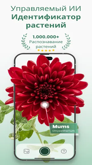 Скриншот 1/6