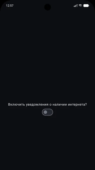 Скриншот 1/4