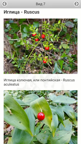 Скриншот 8/8