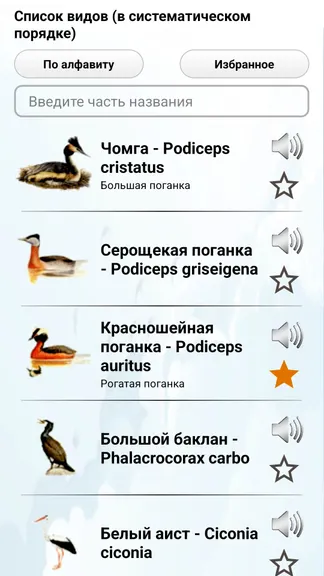 Скриншот 2/8