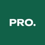 Domplus Pro логотип