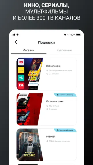 Скриншот 2/8