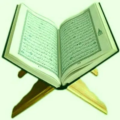 Quran Quiz for All