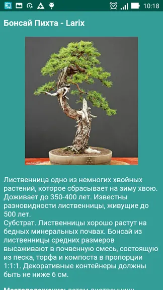 Скриншот 3/8