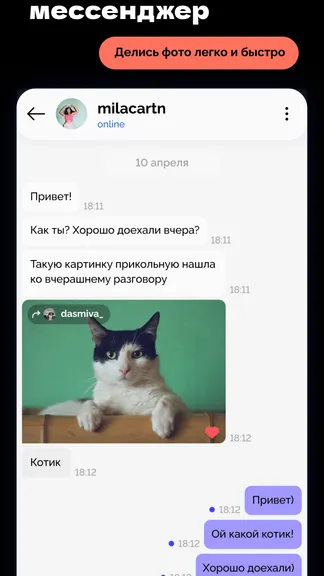 Скриншот 4/4