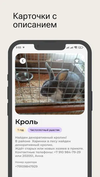 Скриншот 4/6