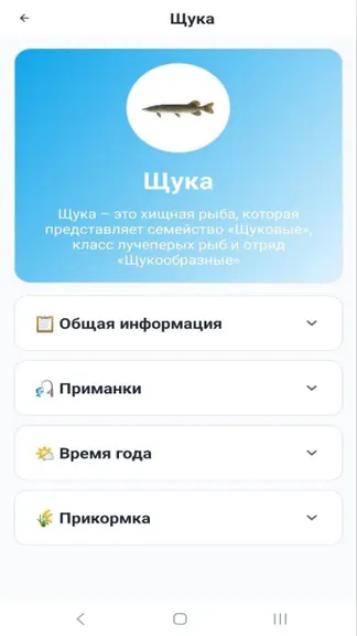 Скриншот 2/4