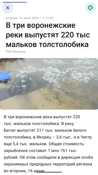Скриншот 3/8
