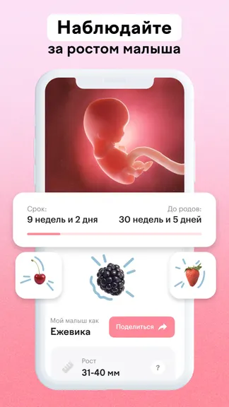 Скриншот 1/4