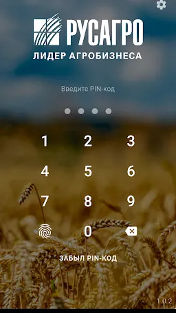 Скриншот 1/4