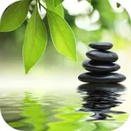 Meditation Music логотип