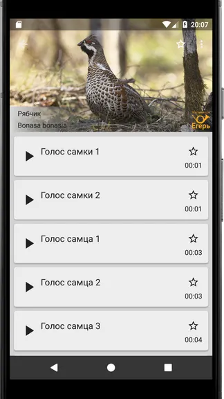 Скриншот 2/3