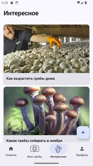 Скриншот 4/6