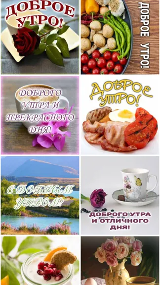 Скриншот 1/6