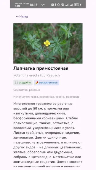 Скриншот 3/3