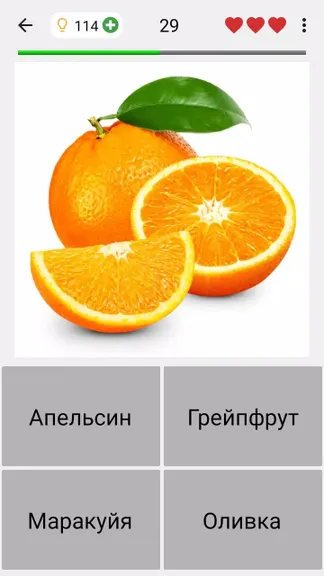 Скриншот 4/5