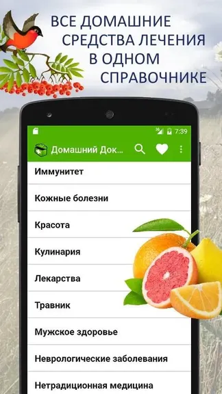 Скриншот 1/6