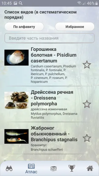 Скриншот 4/10