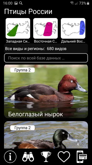 Скриншот 5/10