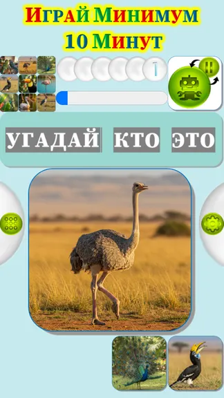 Скриншот 3/4
