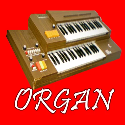 Electronic organ