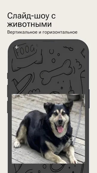 Скриншот 5/6