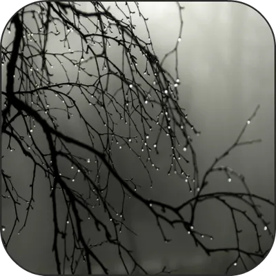 Gothic Rain Live Wallpaper