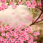 Spring Flowers Live Wallpaper логотип