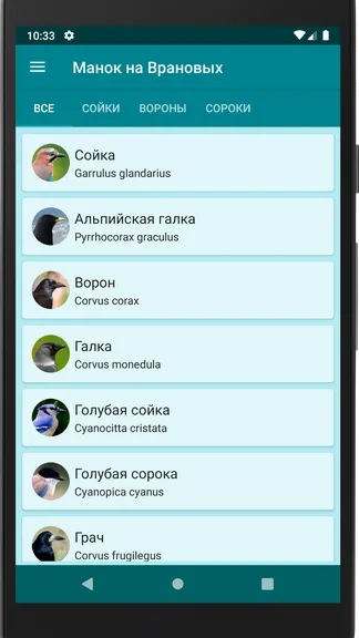 Скриншот 2/4