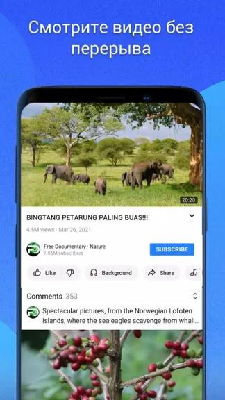 Скриншот 4/4