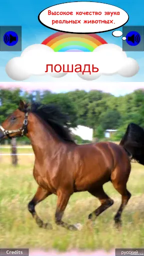 Скриншот 4/10