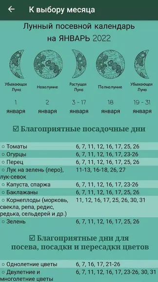 Скриншот 2/4