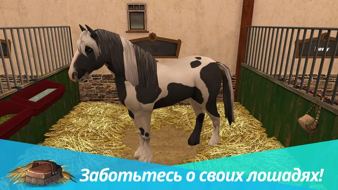 Скриншот 1/8