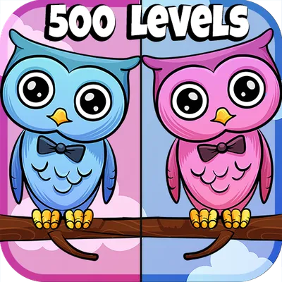 Find The Differences Game 500 levels