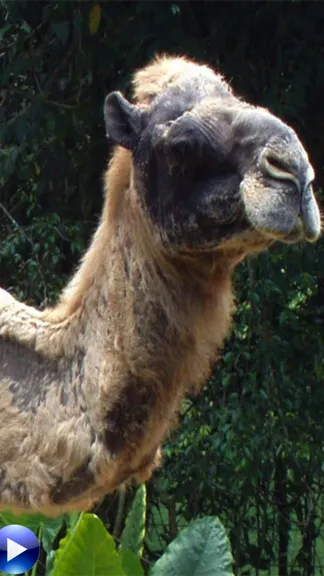 Скриншот 4/6