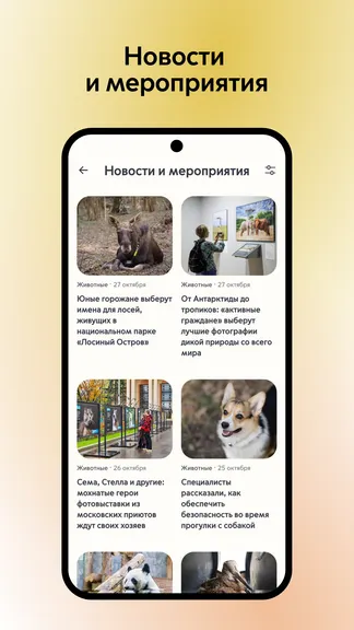 Скриншот 5/7