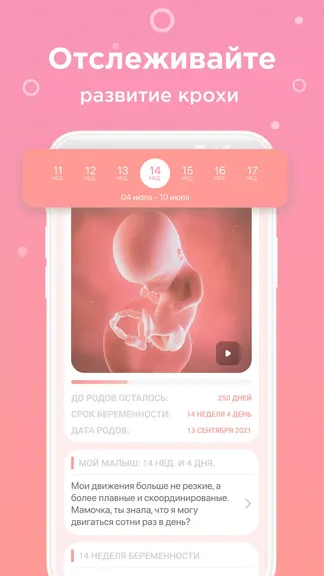 Скриншот 2/6