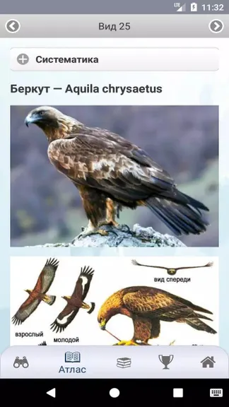 Скриншот 2/5