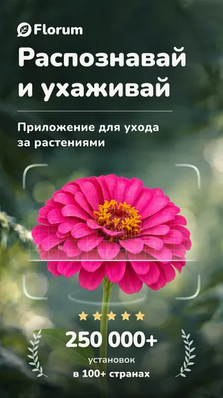 Скриншот 1/8
