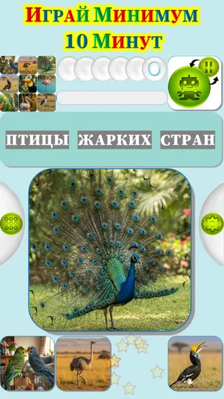 Скриншот 1/4