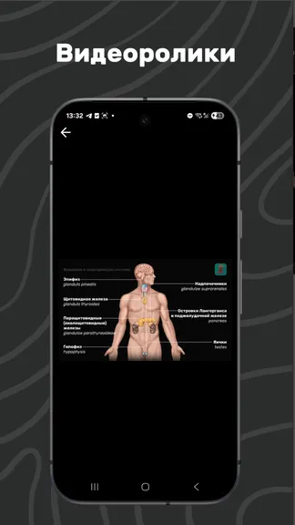 Скриншот 7/7