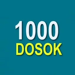 1000dosok.ru 