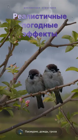 Скриншот 6/8